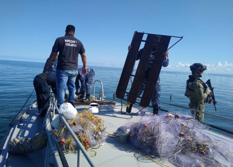 Pescadores extraen jaiba en periodo de veda; Inspectores de Conapesca capturaron a tres personas Pescadores extraen jaiba en periodo de veda; Inspectores de Conapesca capturaron a tres personas