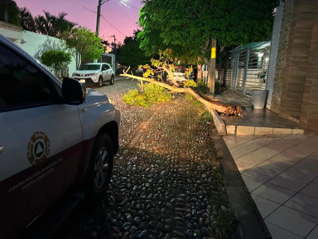 Protección Civil atiende 10 emergencias por fuertes vientos en Culiacán; no se reportan lesionados
