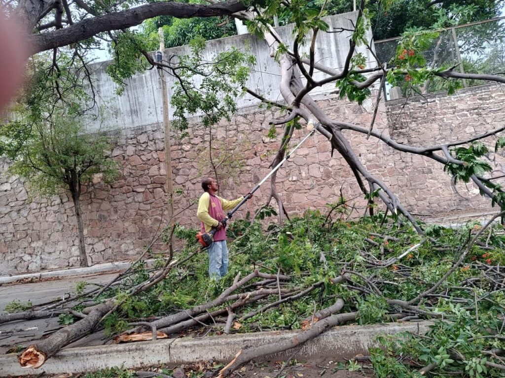 Protección Civil atiende 10 emergencias por fuertes vientos en Culiacán; no se reportan lesionados