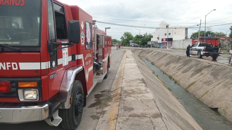 Bomberos capturan cocodrilo en canal pluvial de Santa Fe, Mazatlán, tras reporte de vecinos Bomberos capturan cocodrilo en canal pluvial de Santa Fe, Mazatlán, tras reporte de vecinos