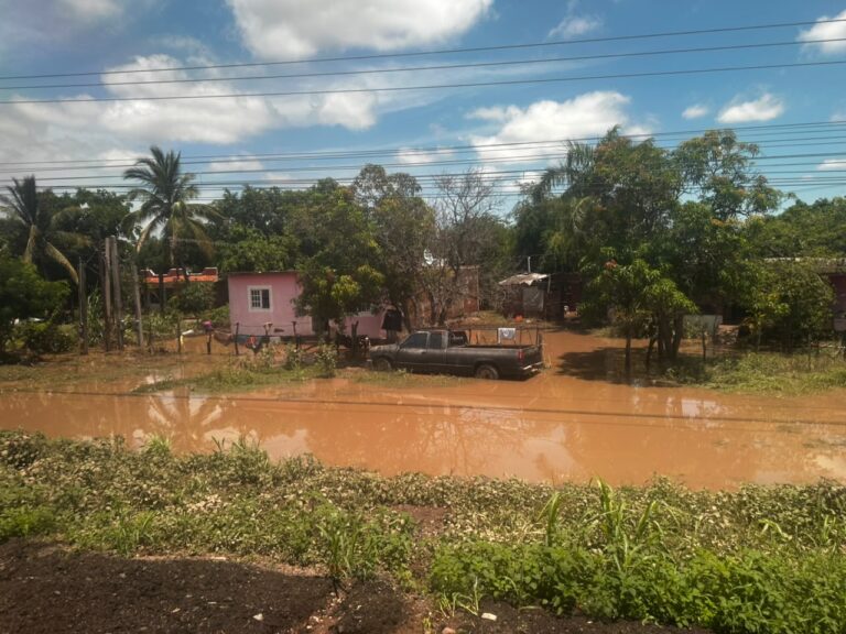 Rescatan a adulta mayor tras inundación en Los Zapotes, Mazatlán, Sinaloa; familias abandonan sus casas ante el nivel del agua
