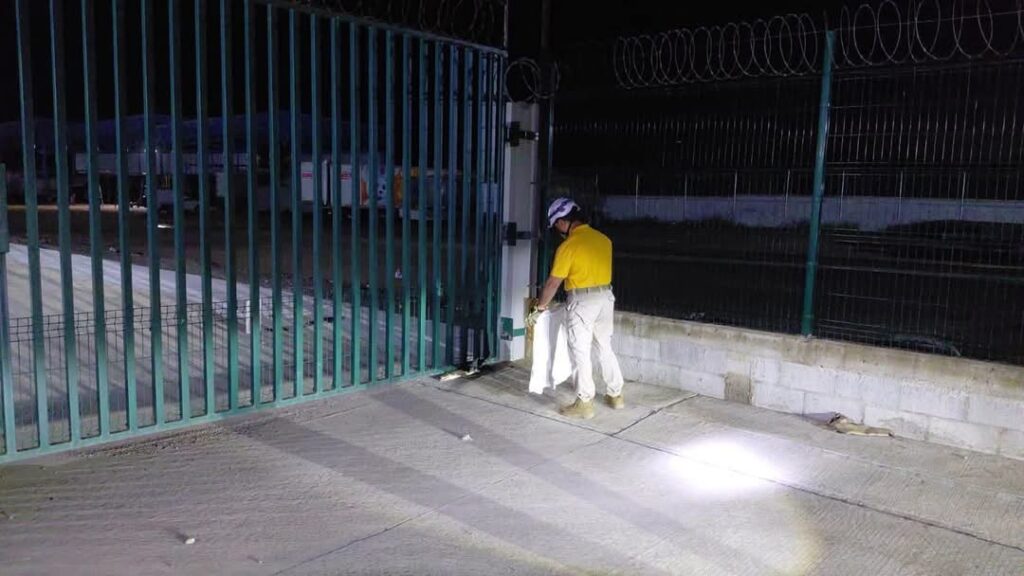 ¡Tremendo susto en Mazatlán, Sinaloa! Hallan a un pequeño cocodrilo entre las bodegas al sur del puerto