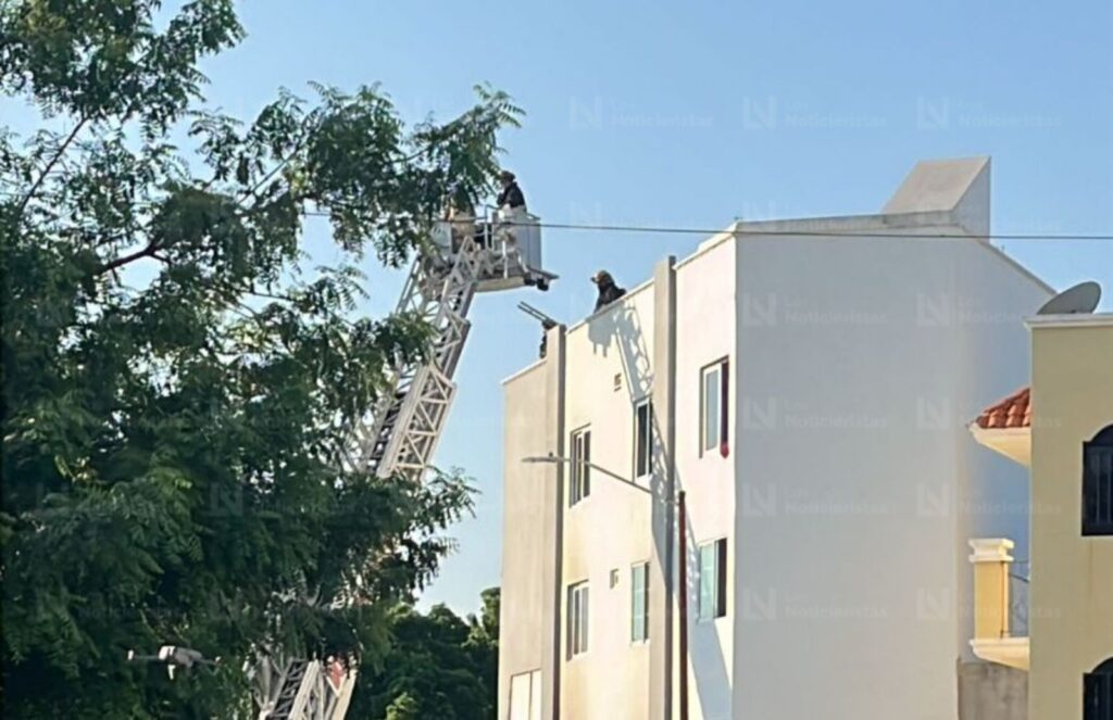 Por la azotea y con una escalera, bomberos rescatan a familia tras ataque a departamentos en Montebello, Culiacán