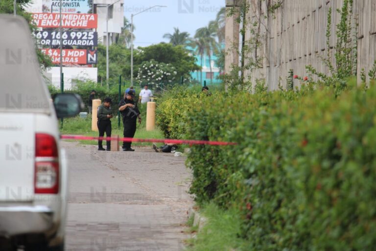 Mujer es localizada sin vida y con aparentes signos de violencia en La Marina, Mazatlán Mujer es localizada sin vida y con aparentes signos de violencia en La Marina, Mazatlán